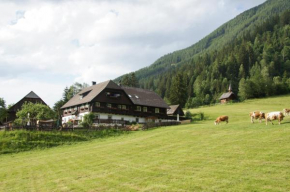Гостиница Der Perweinhof, Доннерсбахвальд